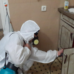Дезинфекция от муравьев в квартире Шоссе Энтузиастов метро Москвы