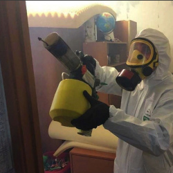 Уничтожение клопов в квартире. Шоссе Энтузиастов