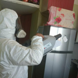 Уничтожение насекомых в квартире. Шоссе Энтузиастов